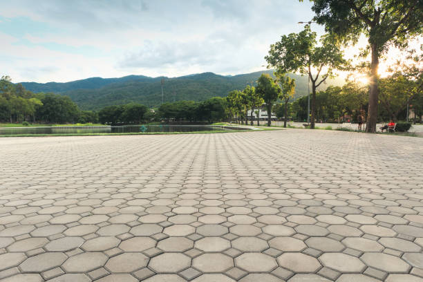 Flora, MS Driveway Pavers Pros